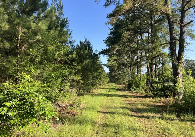 Photo 3 of Land for sale at 1 Weathers Farm Rd, Bowman, SC 29018 | MLS# 26019410 | Listing updated on 2026-09-09