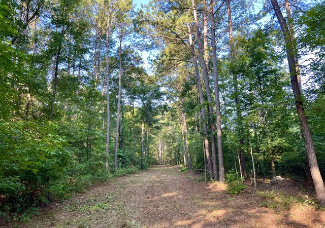 Photo 4 of Land for sale at 1 Weathers Farm Rd, Bowman, SC 29018 | MLS# 26019410 | Listing updated on 2026-09-09