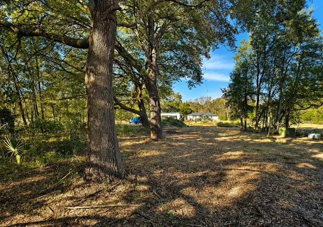 Photo 3 of Land for sale at 2033 Holly Crk Rd, Charleston, SC 29412 | MLS# 26019497 | Listing updated on 2026-08-12