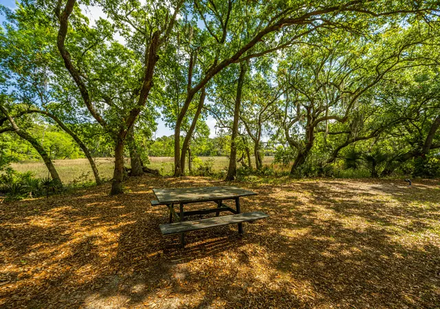 Homes for sale in Charleston, SC | 130 River Landing Dr #Unit 7315, Charleston, SC 29492 | MLS# 26011505