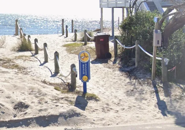 29th image of 133 Palmetto Blvd, Edisto Island, SC 29438 | MLS# 26004278