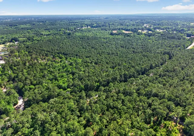 Photo 3 of Land for sale at 00 Longridge Rd, Moncks Corner, SC 29461 | MLS# 26015346 | Listing updated on 2026-09-28