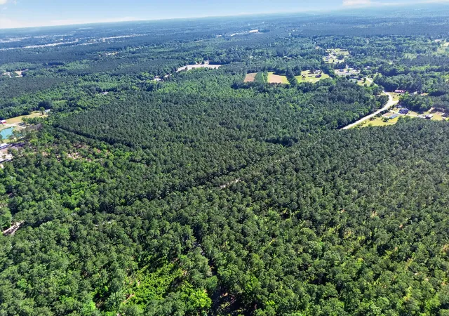 Photo 4 of Land for sale at 00 Longridge Rd, Moncks Corner, SC 29461 | MLS# 26015346 | Listing updated on 2026-09-28