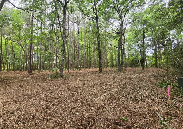 Photo 3 of Land for sale at 248 Warren Dr, Mc Clellanville, SC 29458 | MLS# 26013537 | Listing updated on 2026-08-24