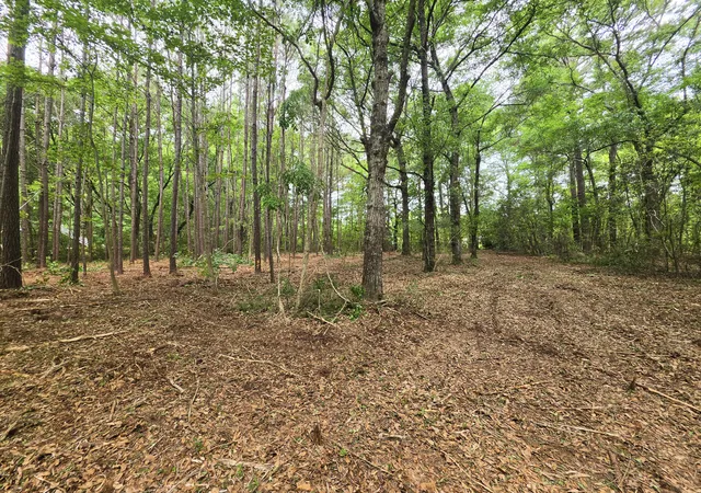 Photo 3 of Land for sale at 248 Warren Dr, Mc Clellanville, SC 29458 | MLS# 26013537 | Listing updated on 2026-08-24