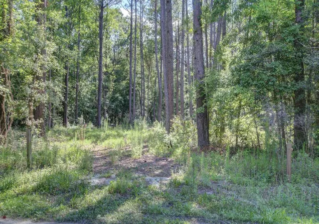 Photo 1 of Land for sale at 0 Paisan Rd, Summerville, SC 29483 | MLS# 24011653 | Listing updated on 2024-08-23