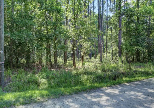 Photo 3 of Land for sale at 0 Paisan Rd, Summerville, SC 29483 | MLS# 24011653 | Listing updated on 2024-08-23