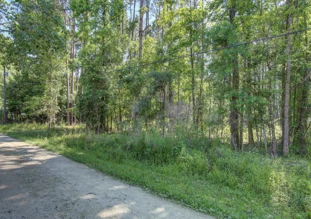 Photo 3 of Land for sale at 0 Paisan Rd, Summerville, SC 29483 | MLS# 24011653 | Listing updated on 2024-08-23