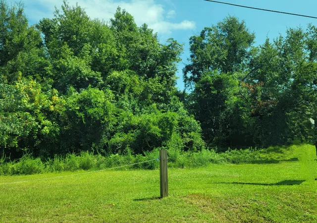 Photo 2 of Land for sale at 9387 Old Number Six Hwy, Santee, SC 29142 | MLS# 25029670 | Listing updated on 2026-03-23