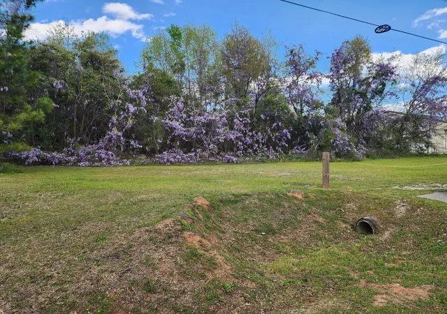 Photo 3 of Land for sale at 9387 Old Number Six Hwy, Santee, SC 29142 | MLS# 25029670 | Listing updated on 2026-03-23