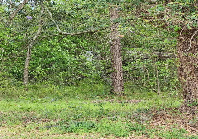 Photo 4 of Land for sale at 9387 Old Number Six Hwy, Santee, SC 29142 | MLS# 25029670 | Listing updated on 2026-03-23