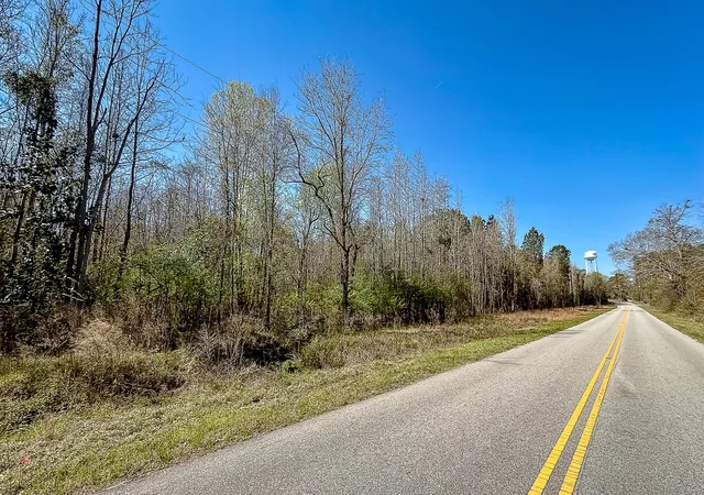Photo 5 of Land for sale at 5986 Voorhees Rd, Denmark, SC 29042 | MLS# 26008367 | Listing updated on 2026-08-31