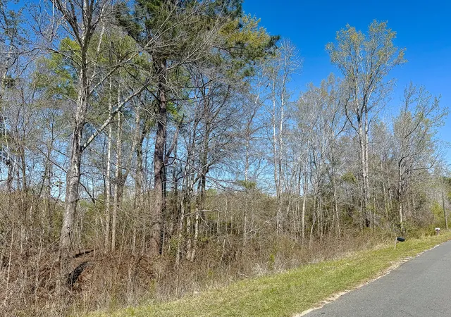 Photo 2 of Land for sale at 0 S Locust Ave, Denmark, SC 29042 | MLS# 26009108 | Listing updated on 2026-08-31