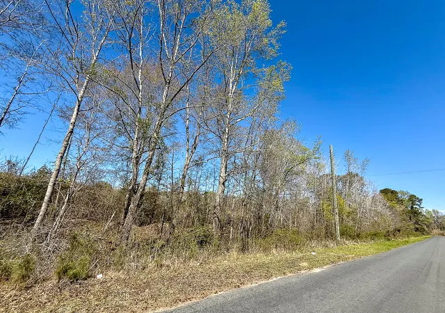 Photo 3 of Land for sale at 0 S Locust Ave, Denmark, SC 29042 | MLS# 26009108 | Listing updated on 2026-08-31