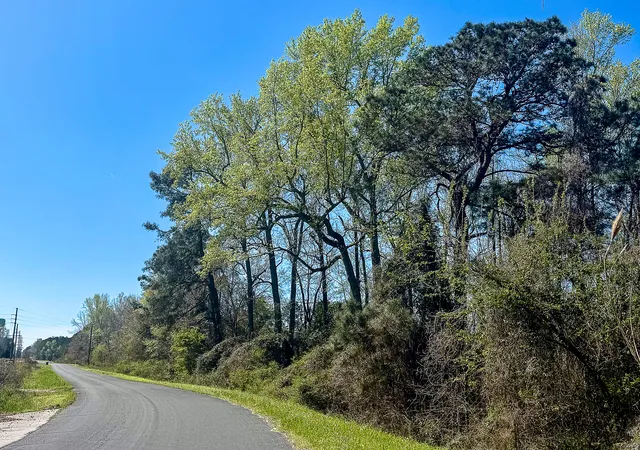 Photo 4 of Land for sale at 0 S Locust Ave, Denmark, SC 29042 | MLS# 26009108 | Listing updated on 2026-08-31