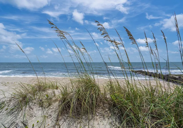 Photo 3 of Single family home for sale at 134 Palmetto Blvd, Edisto Island, SC 29438 | MLS# 26021252 | Listing updated on 2026-08-29