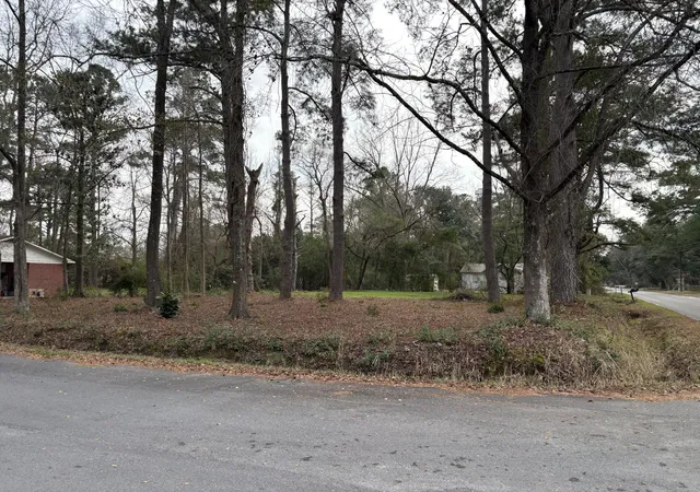 image of 410 Poplar St, Walterboro, SC 29488 | MLS# 26022221