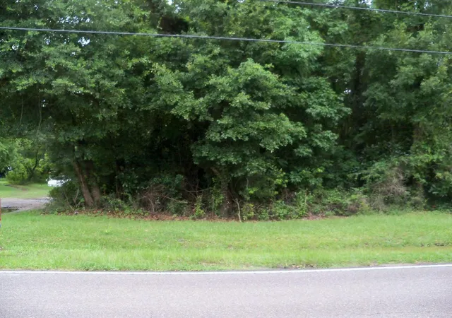 Photo 1 of Land for sale at 0 Grimball Rd, Charleston, SC 29412 | MLS# 18021728 | Listing updated on 2024-08-21