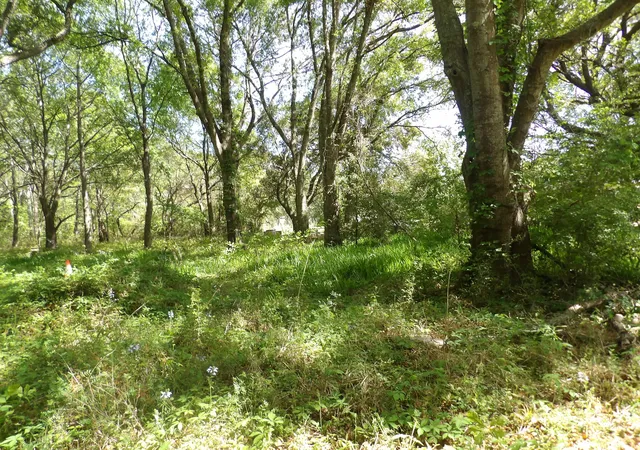 Photo 3 of Land for sale at 1558 Scott Hl Rd #4-B, Charleston, SC 29412 | MLS# 25009330 | Listing updated on 2026-07-06