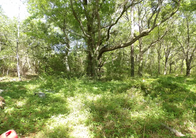 Photo 4 of Land for sale at 1558 Scott Hl Rd #4-B, Charleston, SC 29412 | MLS# 25009330 | Listing updated on 2026-07-06