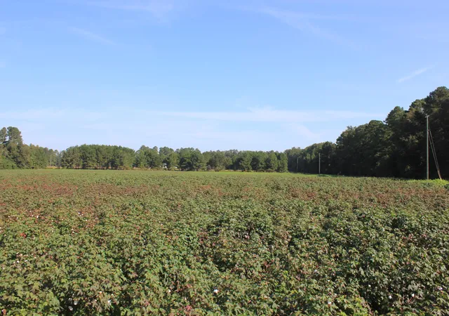 Land for sale at 0 Old Hwy 6, Santee, SC 29142 | MLS# 20028116