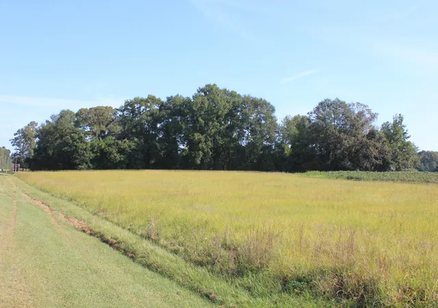 Photo 4 of Land for sale at 0 Old Hwy 6, Santee, SC 29142 | MLS# 20028116 | Listing updated on 2026-07-30