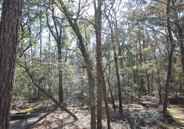 14th image of 6321 Bears Bluff Rd, Wadmalaw Island, SC 29487 | MLS# 26008130