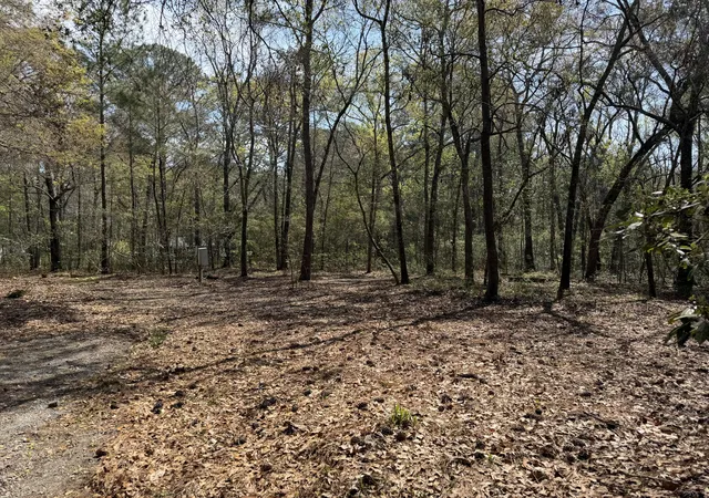 1st image of 6321 Bears Bluff Rd, Wadmalaw Island, SC 29487 | MLS# 26008130