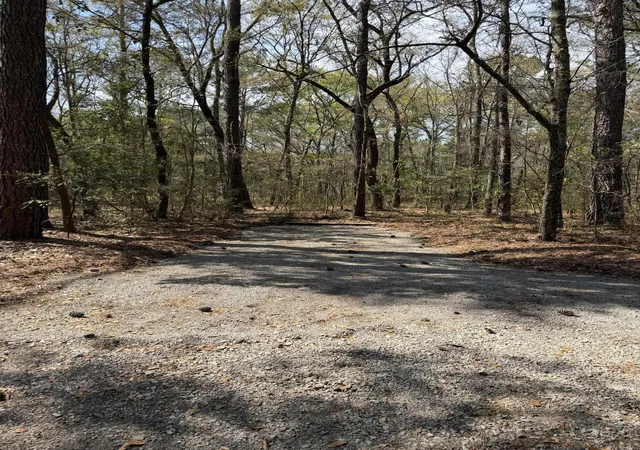 2nd image of 6321 Bears Bluff Rd, Wadmalaw Island, SC 29487 | MLS# 26008130
