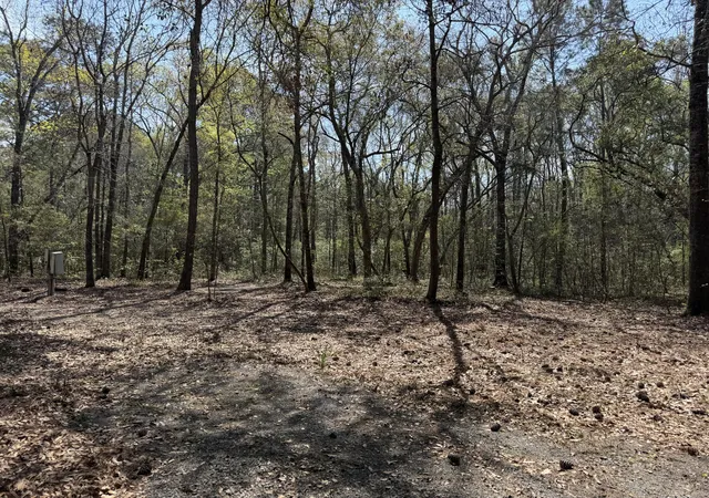 3rd image of 6321 Bears Bluff Rd, Wadmalaw Island, SC 29487 | MLS# 26008130