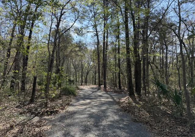 4th image of 6321 Bears Bluff Rd, Wadmalaw Island, SC 29487 | MLS# 26008130