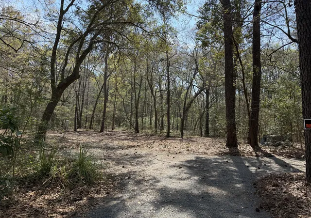 5th image of 6321 Bears Bluff Rd, Wadmalaw Island, SC 29487 | MLS# 26008130