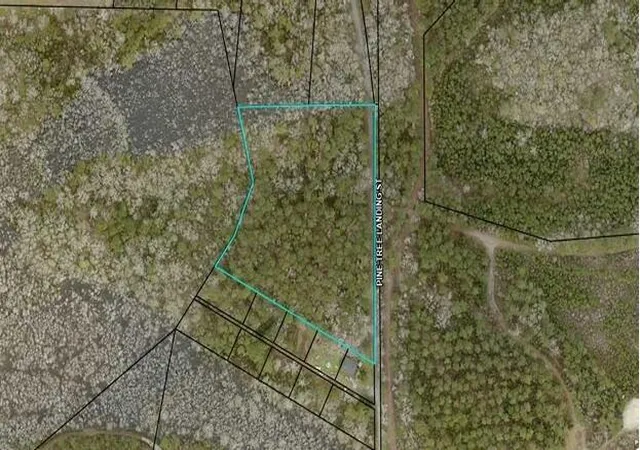 Homes for sale in Andrews, SC | 0 Pine Tree Landing Rd, Andrews, SC 29510 | MLS# 24028210