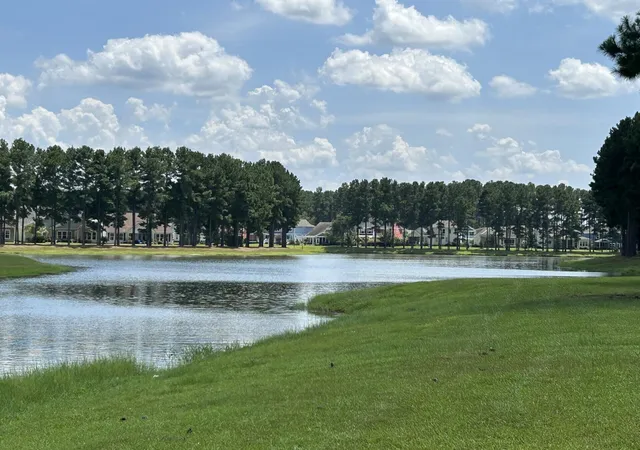 Photo 3 of Single family home for sale at 141 Calm Water Way, Summerville, SC 29486 | MLS# 26018294 | Listing updated on 2026-09-05