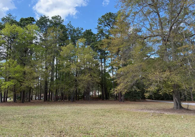 Homes for sale in Walterboro, SC | 0 Otis Rd & Longleaf Dr, Walterboro, SC 29488 | MLS# 26009024