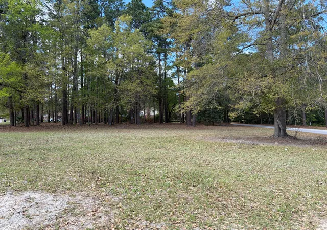 Homes for sale in Walterboro, SC | 0 Otis Rd & Longleaf Dr, Walterboro, SC 29488 | MLS# 26009024