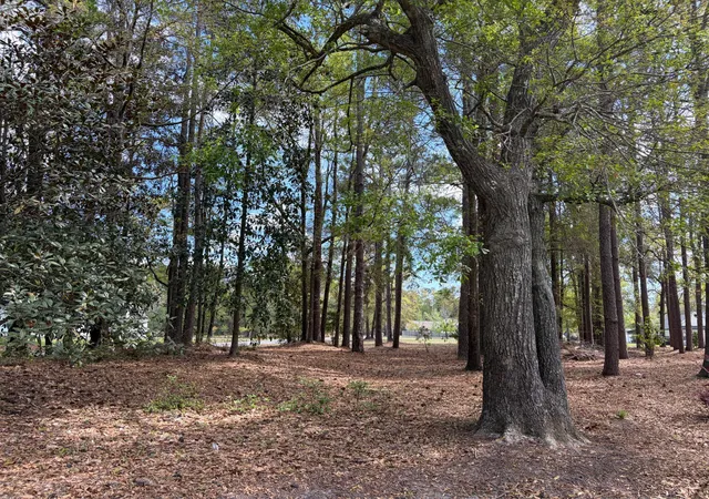 Homes for sale in Walterboro, SC | 0 Otis Rd & Longleaf Dr, Walterboro, SC 29488 | MLS# 26009024
