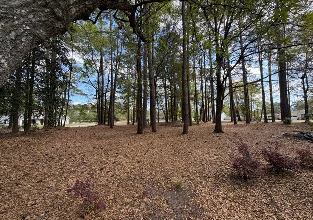 Homes for sale in Walterboro, SC | 0 Otis Rd & Longleaf Dr, Walterboro, SC 29488 | MLS# 26009024