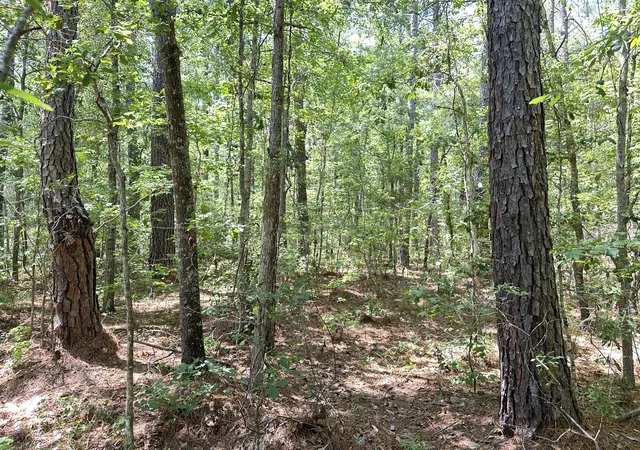 Photo 2 of Land for sale at 00 Hwy 17a, Bonneau, SC 29431 | MLS# 26018267 | Listing updated on 2026-08-21