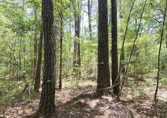 Photo 3 of Land for sale at 00 Hwy 17a, Bonneau, SC 29431 | MLS# 26018267 | Listing updated on 2026-08-21