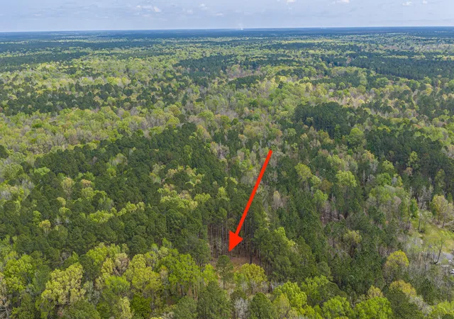 Land for sale at 0 Busters Paradise Ln, Cordesville, SC 29434 | MLS# 26008738