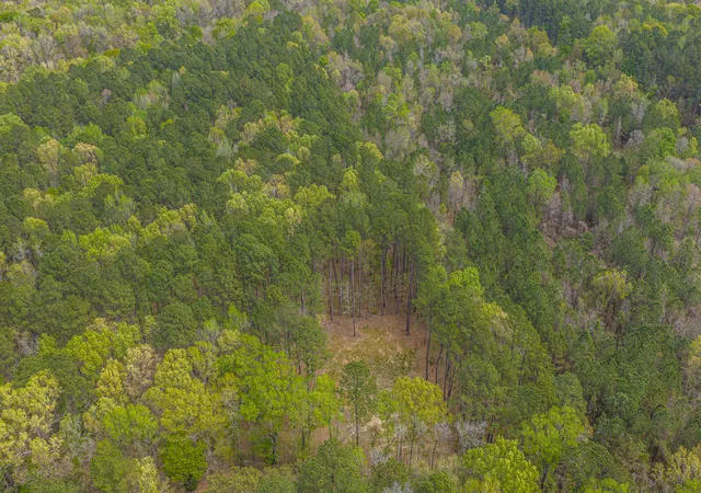 Photo 2 of Land for sale at 0 Busters Paradise Ln, Cordesville, SC 29434 | MLS# 26008738 | Listing updated on 2026-09-04
