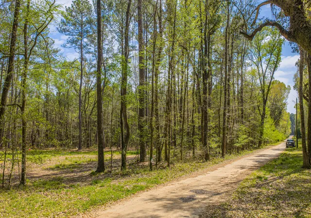Photo 3 of Land for sale at 0 Busters Paradise Ln, Cordesville, SC 29434 | MLS# 26008738 | Listing updated on 2026-09-04