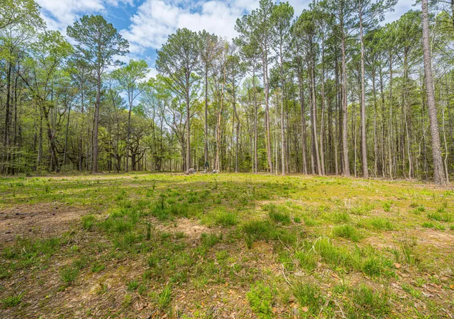 Photo 3 of Land for sale at 0 Busters Paradise Ln, Cordesville, SC 29434 | MLS# 26008738 | Listing updated on 2026-09-04
