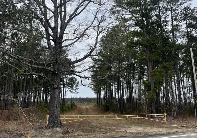 Homes for sale in Salters, SC | Tbd Rocky Ford Rd, Salters, SC 29590 | MLS# 26019307
