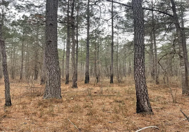 Homes for sale in Salters, SC | Tbd Rocky Ford Rd, Salters, SC 29590 | MLS# 26019307