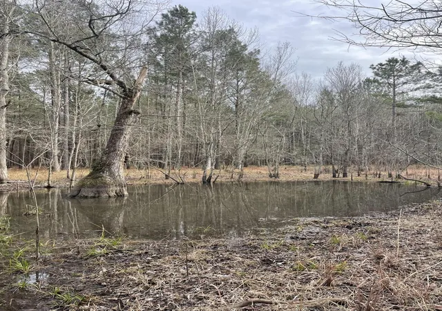 Homes for sale in Salters, SC | Tbd Rocky Ford Rd, Salters, SC 29590 | MLS# 26019307