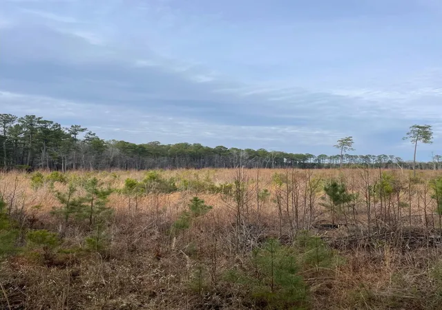 Homes for sale in Salters, SC | Tbd Rocky Ford Rd, Salters, SC 29590 | MLS# 26019307