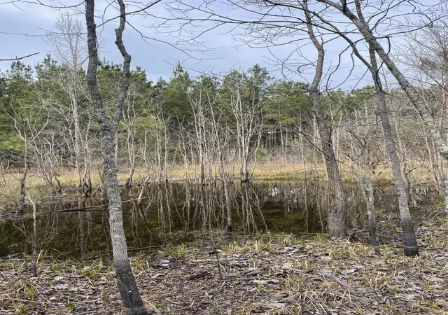 Homes for sale in Salters, SC | Tbd Rocky Ford Rd, Salters, SC 29590 | MLS# 26019307