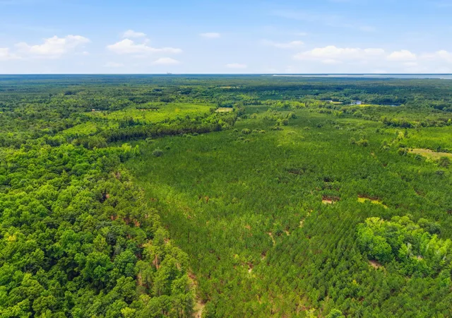 Photo 1 of Land for sale at 1530 Catfish Ln, Manning, SC 29102 | MLS# 26018443 | Listing updated on 2026-08-28